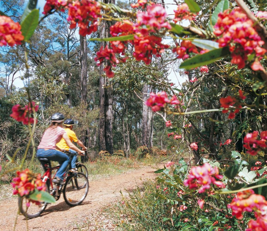 bike tours queensland australia