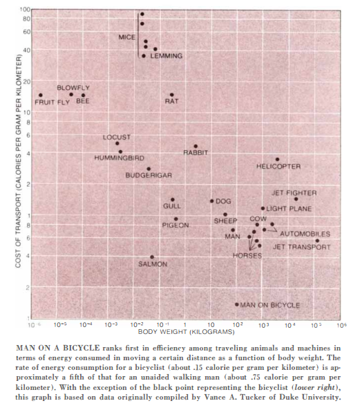Chart from Scientific American, 1973