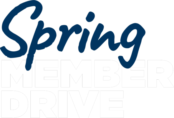 Spring Member Drive