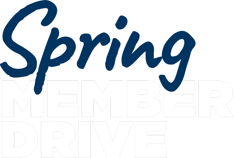 Spring Member Drive