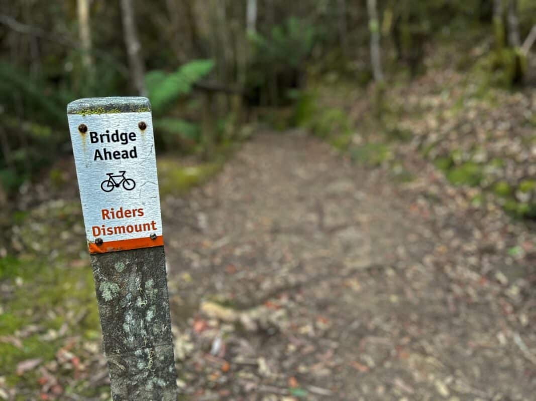 Wooden post next to leaf--strewn bushland path with a metal sign screwed to the top saying "Bridge Ahead, Riders Dismount" and a bike symbol. 