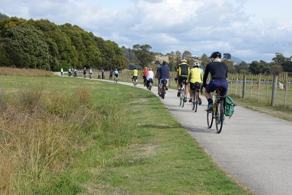 A line of bike riders on a concrete path bending though grass with trees in the distance.