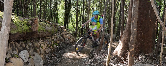 A man on a mountain bike and young girl sitting in a shotgun seat on his crossbar wear matching blue helments and yellow vests ride on a dirt trail uphill next to a rock wall, surrounded by forest.