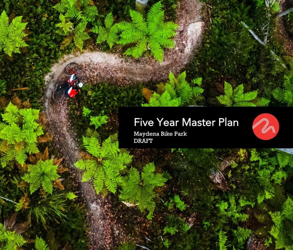 Cover of the Maydena Bike Park 5 year masterplan showing an aerial view of a MTB rider on a trail weaving through tree ferns. 
