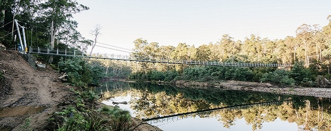 A suspension bridge spans a still river with tall trees on both sides and reflection of the bridge in the water.
