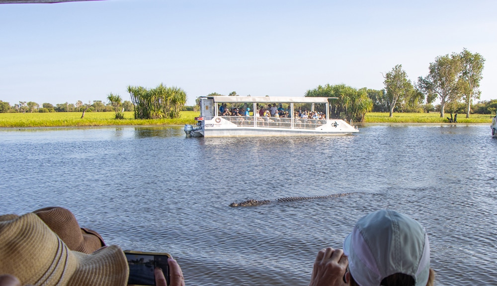 Great Top End Escape - Yellow Water Billabong Cruise