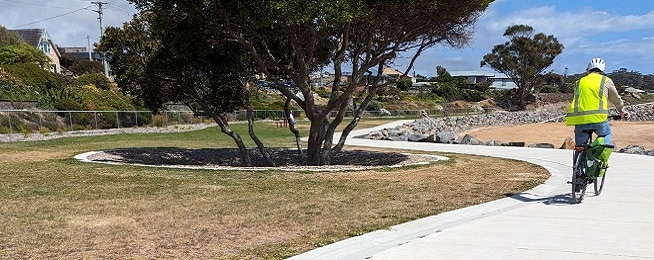 A man wearing a yellow high vis jacket rides along a wining concrete path with a broad tree to the left of the path.