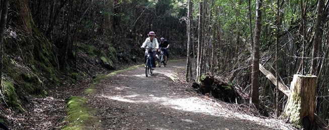 Two people ride along a dirt path in dappled shade surrounded by bushland,