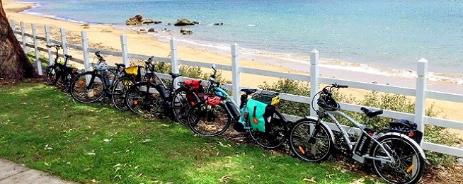 A line of bicycles lean against a white wooden fence with green grass in the foreground and a sheltered beach in the background.