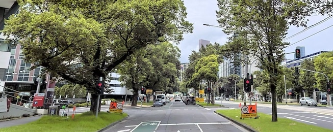 image of the tree-lined Flemington Road showing roadwork signs.