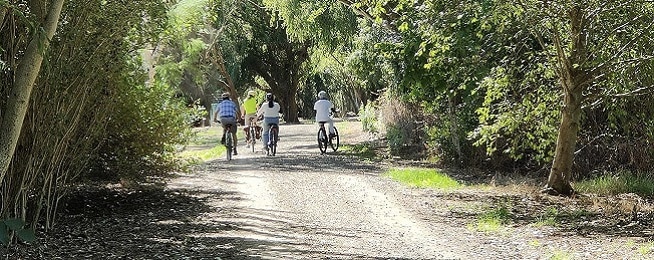 Group of people ride down a dirt round under a tree canopy.